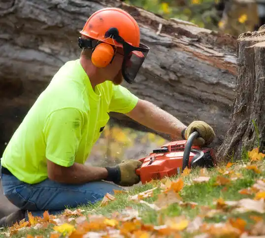 tree services Pleasant Run Farm